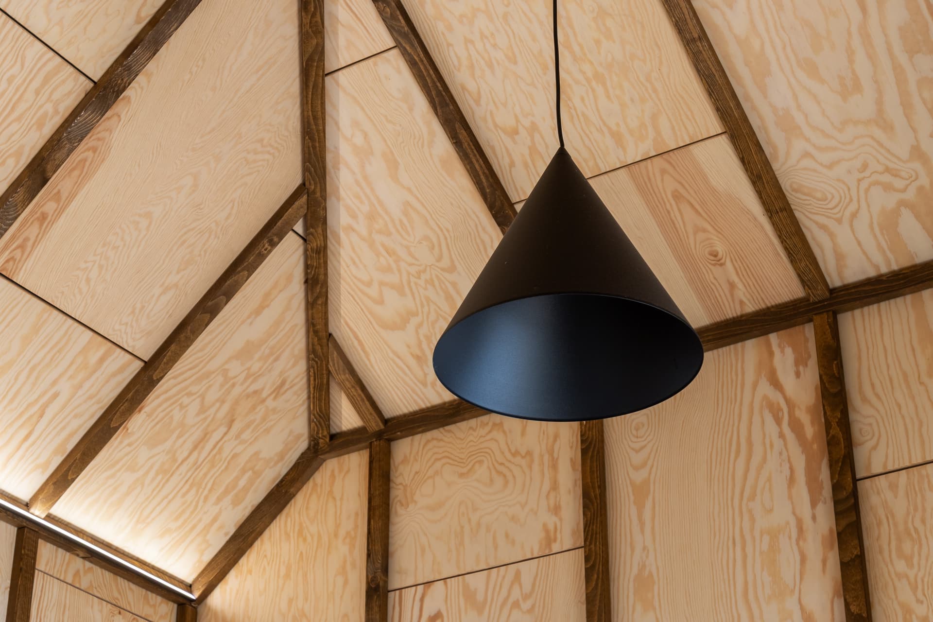 Pendant lamp detail