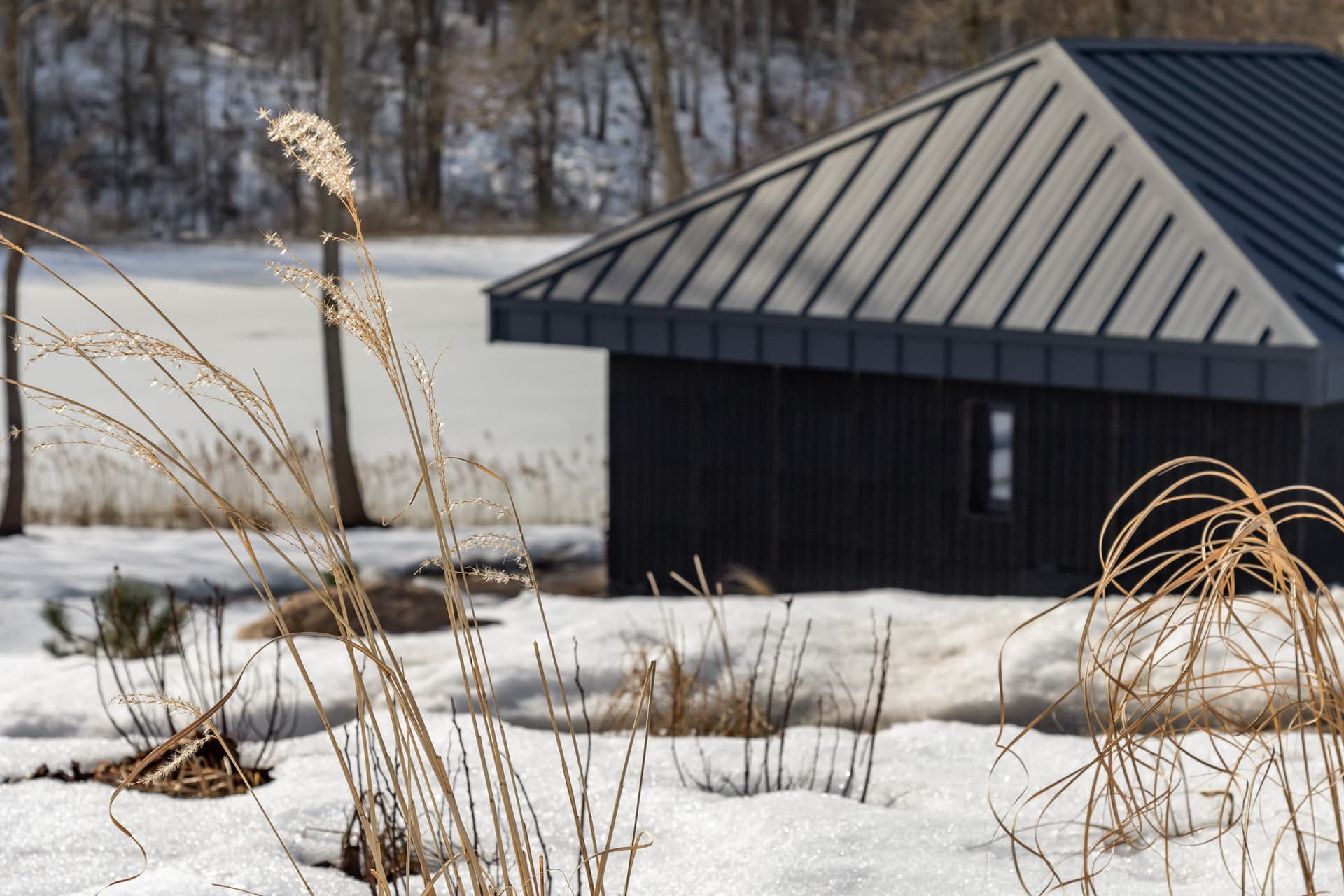 Sauna building amid wild grass