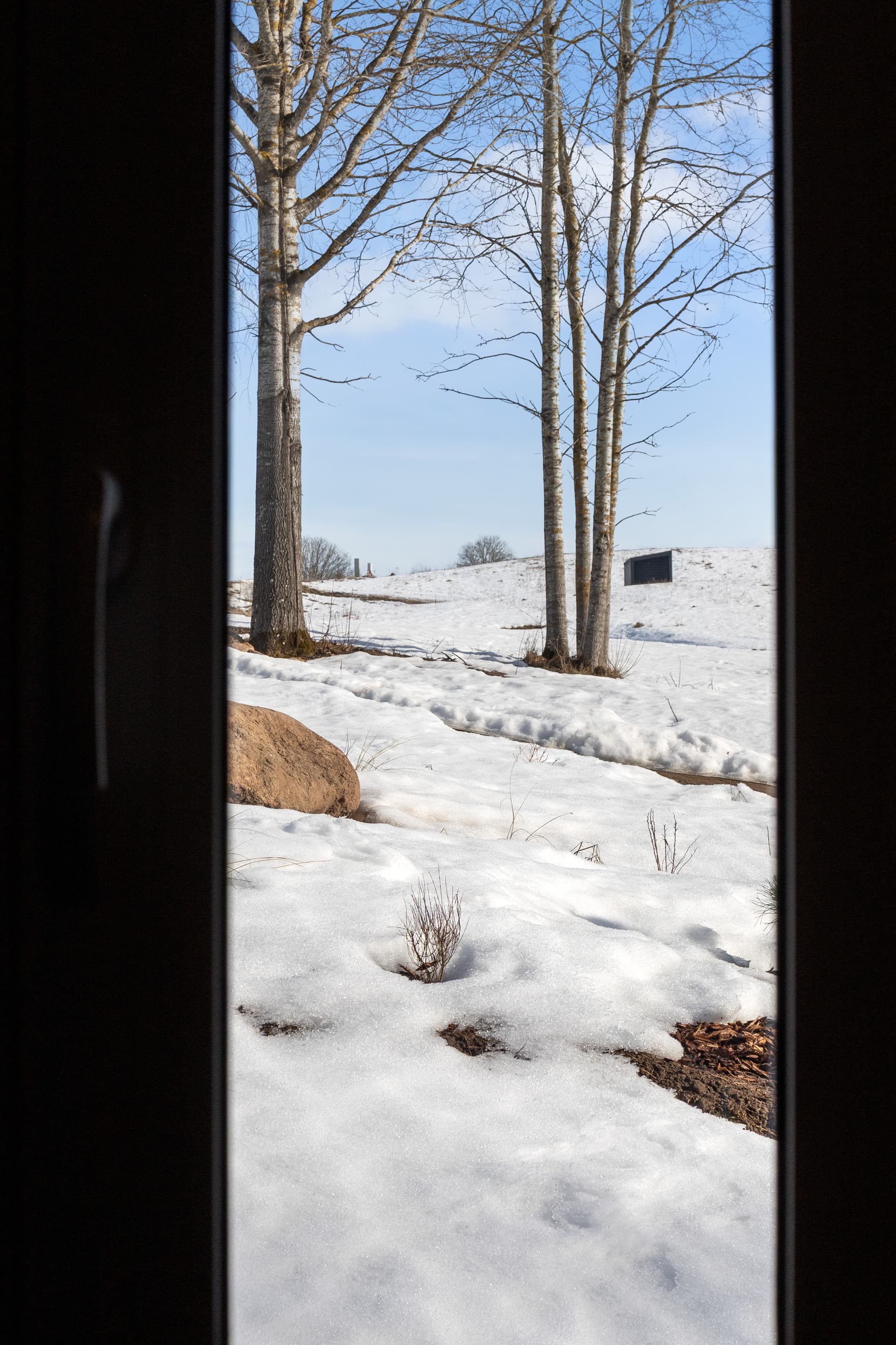 Birch trees through doorway